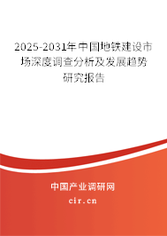 2025-2031年中國地鐵建設(shè)市場深度調(diào)查分析及發(fā)展趨勢研究報告