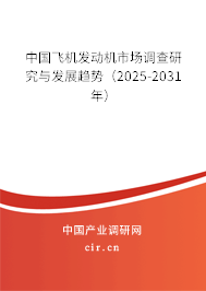 中國飛機(jī)發(fā)動(dòng)機(jī)市場調(diào)查研究與發(fā)展趨勢（2025-2031年）