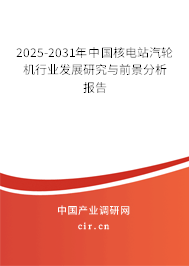 2025-2031年中國核電站汽輪機(jī)行業(yè)發(fā)展研究與前景分析報(bào)告