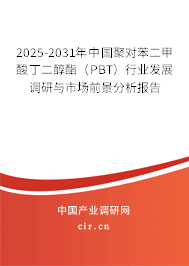 2025-2031年中國聚對苯二甲酸丁二醇酯（PBT）行業(yè)發(fā)展調(diào)研與市場前景分析報(bào)告