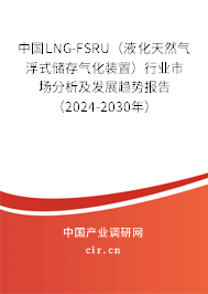 中國LNG-FSRU（液化天然氣浮式儲(chǔ)存氣化裝置）行業(yè)市場分析及發(fā)展趨勢報(bào)告（2024-2030年）