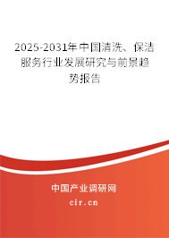 2025-2031年中國清洗、保潔服務(wù)行業(yè)發(fā)展研究與前景趨勢報(bào)告
