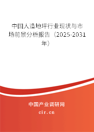中國人造地坪行業(yè)現(xiàn)狀與市場前景分析報告（2025-2031年）