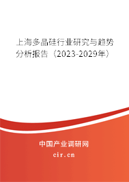 上海多晶硅行業(yè)研究與趨勢分析報(bào)告(2023-2029年) 上海多晶硅行業(yè)研究與趨勢分析報(bào)告(2023-2029年)