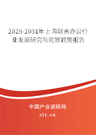 2025-2031年上海聯(lián)合辦公行業(yè)發(fā)展研究與前景趨勢(shì)報(bào)告