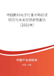 中國(guó)數(shù)碼電子行業(yè)市場(chǎng)現(xiàn)狀研究與未來(lái)前景趨勢(shì)報(bào)告（2025年）