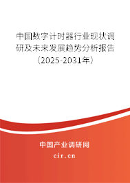 中國(guó)數(shù)字計(jì)時(shí)器行業(yè)現(xiàn)狀調(diào)研及未來(lái)發(fā)展趨勢(shì)分析報(bào)告（2025-2031年）