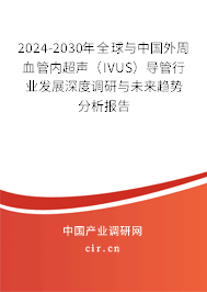 2024-2030年全球與中國(guó)外周血管內(nèi)超聲（IVUS）導(dǎo)管行業(yè)發(fā)展深度調(diào)研與未來(lái)趨勢(shì)分析報(bào)告