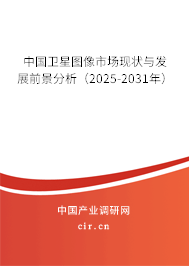 中國(guó)衛(wèi)星圖像市場(chǎng)現(xiàn)狀與發(fā)展前景分析（2025-2031年）