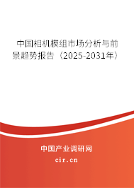 中國相機(jī)模組市場分析與前景趨勢報告（2025-2031年）