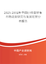 2025-2031年中國小排量轎車市場調(diào)查研究與發(fā)展前景分析報(bào)告