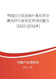 中國壓力變送器行業(yè)現(xiàn)狀全面調(diào)研與發(fā)展前景預(yù)測報告（2025-2031年）