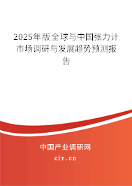 2025年版全球與中國張力計市場調(diào)研與發(fā)展趨勢預測報告
