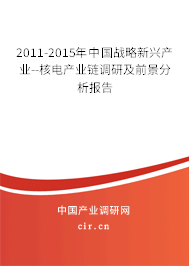 2011-2015年中國戰(zhàn)略新興產(chǎn)業(yè)--核電產(chǎn)業(yè)鏈調(diào)研及前景分析報(bào)告 2011-2015年中國戰(zhàn)略新興產(chǎn)業(yè)--核電產(chǎn)業(yè)鏈調(diào)研及前景分析報(bào)告