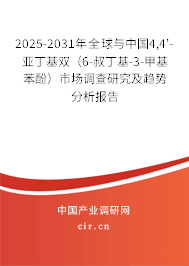 2025-2031年全球與中國4,4'-亞丁基雙（6-叔丁基-3-甲基苯酚）市場(chǎng)調(diào)查研究及趨勢(shì)分析報(bào)告