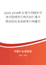 2024-2030年全球與中國半導(dǎo)體切筋成型分離系統(tǒng)行業(yè)市場調(diào)研及發(fā)展趨勢分析報告