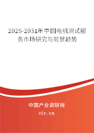 2025-2031年中國電機測試服務市場研究與前景趨勢