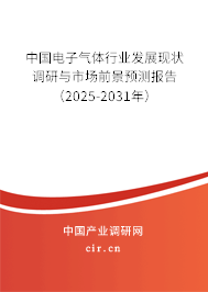 中國電子氣體行業(yè)發(fā)展現(xiàn)狀調(diào)研與市場前景預測報告（2025-2031年）