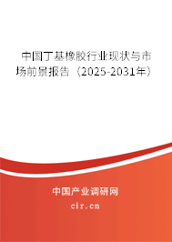 中國(guó)丁基橡膠行業(yè)現(xiàn)狀與市場(chǎng)前景報(bào)告（2025-2031年）
