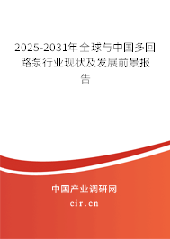 2025-2031年全球與中國多回路泵行業(yè)現(xiàn)狀及發(fā)展前景報告