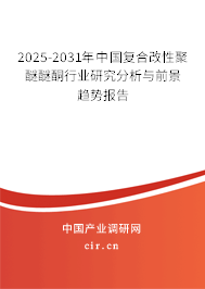 2025-2031年中國復(fù)合改性聚醚醚酮行業(yè)研究分析與前景趨勢(shì)報(bào)告