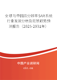 全球與中國(guó)高分辨率SAR系統(tǒng)行業(yè)發(fā)展分析及前景趨勢(shì)預(yù)測(cè)報(bào)告（2025-2031年）