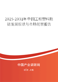 2025-2031年中國工程塑料拖鏈發(fā)展現狀與市場前景報告