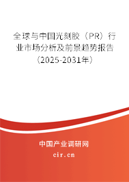 全球與中國光刻膠（PR）行業(yè)市場分析及前景趨勢報告（2025-2031年）
