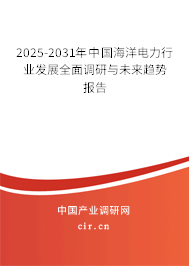 2025-2031年中國(guó)海洋電力行業(yè)發(fā)展全面調(diào)研與未來(lái)趨勢(shì)報(bào)告