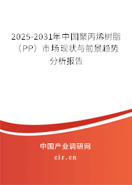 2025-2031年中國聚丙烯樹脂（PP）市場現(xiàn)狀與前景趨勢分析報告