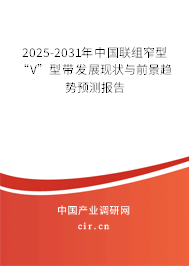 2025-2031年中國(guó)聯(lián)組窄型“V”型帶發(fā)展現(xiàn)狀與前景趨勢(shì)預(yù)測(cè)報(bào)告