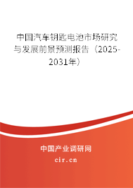 中國汽車鑰匙電池市場研究與發(fā)展前景預(yù)測報告（2025-2031年）