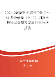 2024-2030年全球與中國企業(yè)級多級單元（MLC）閃存市場現狀調研及發(fā)展前景分析報告