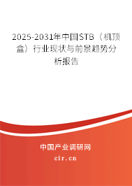 2025-2031年中國STB（機頂盒）行業(yè)現(xiàn)狀與前景趨勢分析報告