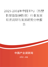 2025-2031年中國TPU（熱塑性聚氨酯彈性體）行業(yè)發(fā)展現(xiàn)狀調(diào)研與發(fā)展趨勢分析報告