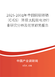 2025-2031年中國(guó)銅銦鎵硒（CIGS）薄膜太陽(yáng)能電池行業(yè)研究分析及前景趨勢(shì)報(bào)告