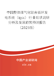 中國整體煤氣化聯合循環(huán)發(fā)電系統(tǒng)（igcc）行業(yè)現狀調研分析及發(fā)展趨勢預測報告（2025版）