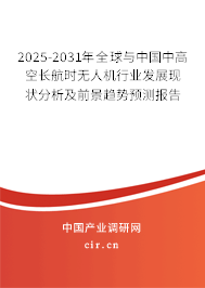 2025-2031年全球與中國中高空長航時無人機行業(yè)發(fā)展現(xiàn)狀分析及前景趨勢預測報告