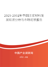 2025-2031年中國注漿材料發(fā)展現(xiàn)狀分析與市場前景報告