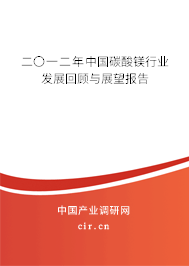 二〇一二年中國碳酸鎂行業(yè)發(fā)展回顧與展望報告