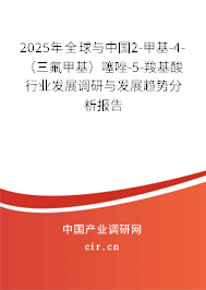 2025年全球與中國2-甲基-4-（三氟甲基）噻唑-5-羧基酸行業(yè)發(fā)展調(diào)研與發(fā)展趨勢分析報告
