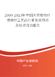 2009-2013年中國(guó)天然植物纖維編織工藝品行業(yè)發(fā)展預(yù)測(cè)及投資咨詢報(bào)告