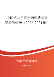 中國格斗手套市場現(xiàn)狀與前景趨勢分析（2025-2031年）