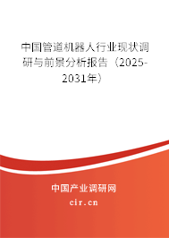 中國(guó)管道機(jī)器人行業(yè)現(xiàn)狀調(diào)研與前景分析報(bào)告（2025-2031年）