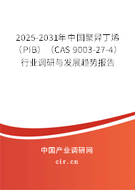 2025-2031年中國聚異丁烯（PIB）（CAS 9003-27-4）行業(yè)調(diào)研與發(fā)展趨勢報(bào)告