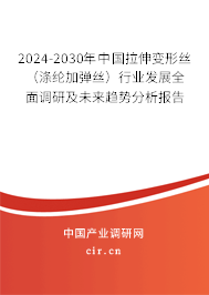 2024-2030年中國拉伸變形絲(滌綸加彈絲)行業(yè)發(fā)展全面調研及未來趨勢分析報告 2024-2030年中國拉伸變形絲(滌綸加彈絲)行業(yè)發(fā)展全面調研及未來趨勢分析報告