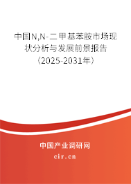 中國(guó)N,N-二甲基苯胺市場(chǎng)現(xiàn)狀分析與發(fā)展前景報(bào)告（2025-2031年）