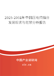 2025-2031年中國(guó)壓電掃描臺(tái)發(fā)展現(xiàn)狀與前景分析報(bào)告
