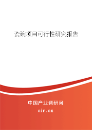 瓷碗項目可行性研究報告 瓷碗項目可行性研究報告