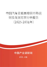 中國(guó)汽車變截面槽鋼市場(chǎng)調(diào)研及發(fā)展前景分析報(bào)告（2025-2031年）